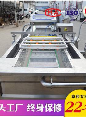 定制小龙虾清洗流水线海鲜水产品气泡清洗机龙虾加工生产线