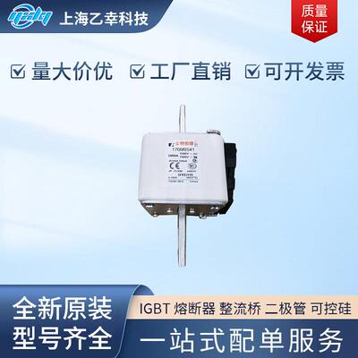 巴斯曼熔断器 170M8639 170M8640 170M8641 170M8642 170M8645