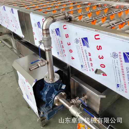 毛辊去皮商用机红薯洗薯花生大枣洗机泥机土豆洗生姜莲藕ZY-01萝