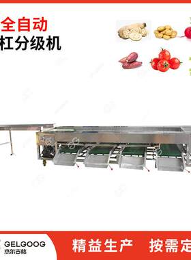 葱大小分选机械 食品厂全自LIZ动智能分选分 拣选果设洋备洋分葱