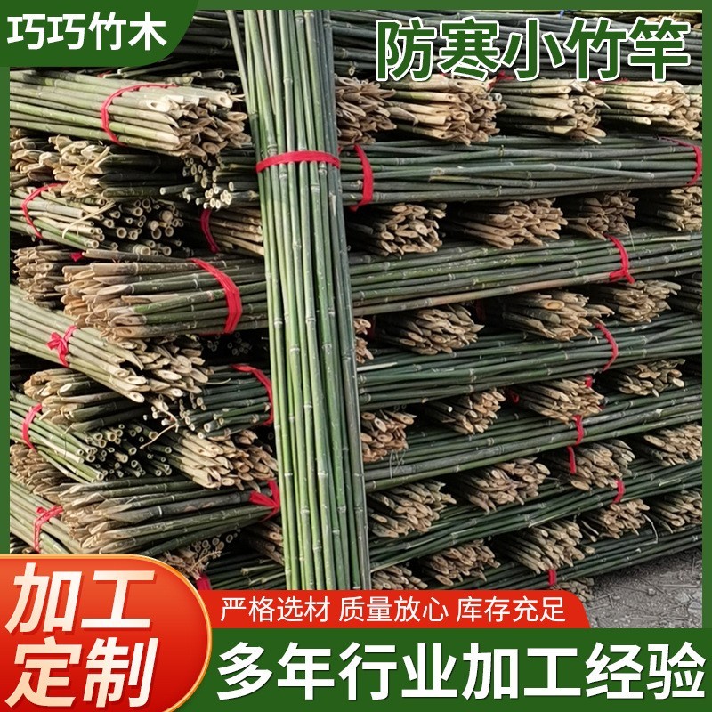菜园搭架豆角黄瓜爬藤防寒小竹竿菜架竹子防寒小竹竿细竹竿