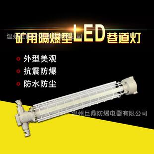 DGS24 T型隧道用防爆灯127V防爆灯棒 127L矿用隔爆型LED巷道灯24W