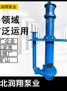 高扬程液卧式抽RXK沙泵 YZ下渣泵抽砂淤泵抽沙机浆清杂质矿用泥浆