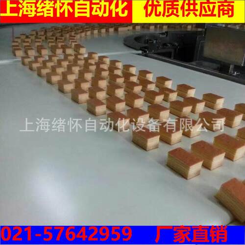 上海厂家定做链条皮带顶升移载输送机气动顶升凸轮顶升移栽机网带
