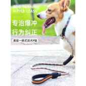 宠物竞赛级专业犬类训练P炼P绳犬防爆小 大型犬P形特种犬牵 中