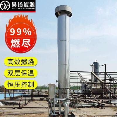 昊扬沼气火炬不锈钢材质占地面积小填埋场沼气燃烧排放设备