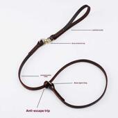 牛皮一体式 大型狗行走绳通用牵引带配套 旋转牵引绳狗训练P绳中