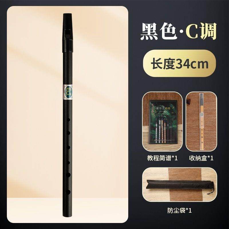 正品爱尔兰哨CD专业调级竖笛高品质六孔调口金属长笛新初学者小乐