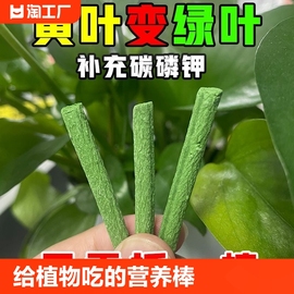 植物营养棒缓释肥料养花绿植，通用型室内盆栽营养片活土生根氮磷钾