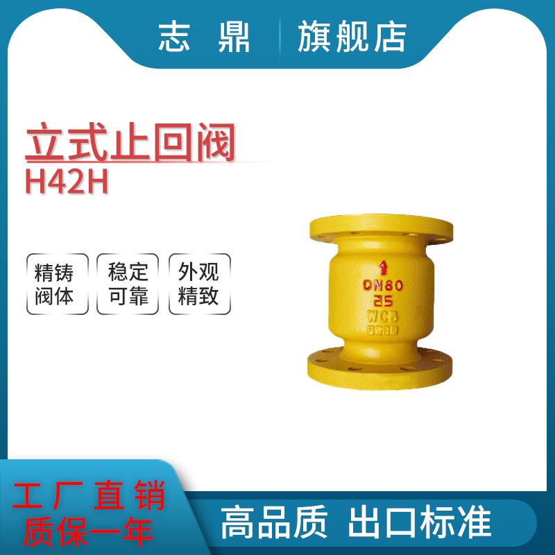 H42H-16C铸钢碳钢立式止回阀垂直单向升降式逆止阀硬密封法兰止回