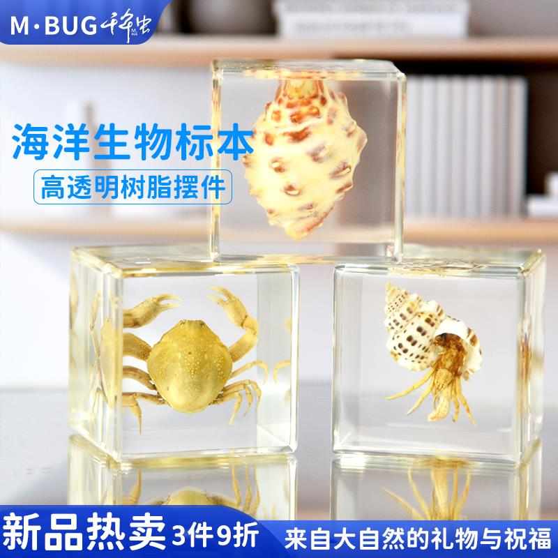 千年虫海洋生物标本树脂摆件琥珀鱼龟蟹螺学生科普六一儿童礼节物