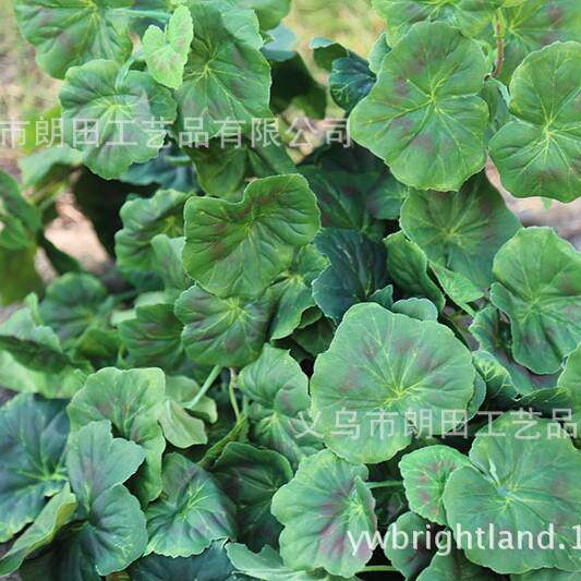 1m海棠叶仿真绿植假藤条室内客厅植物墙配材绢布绿萝壁挂爬山虎装