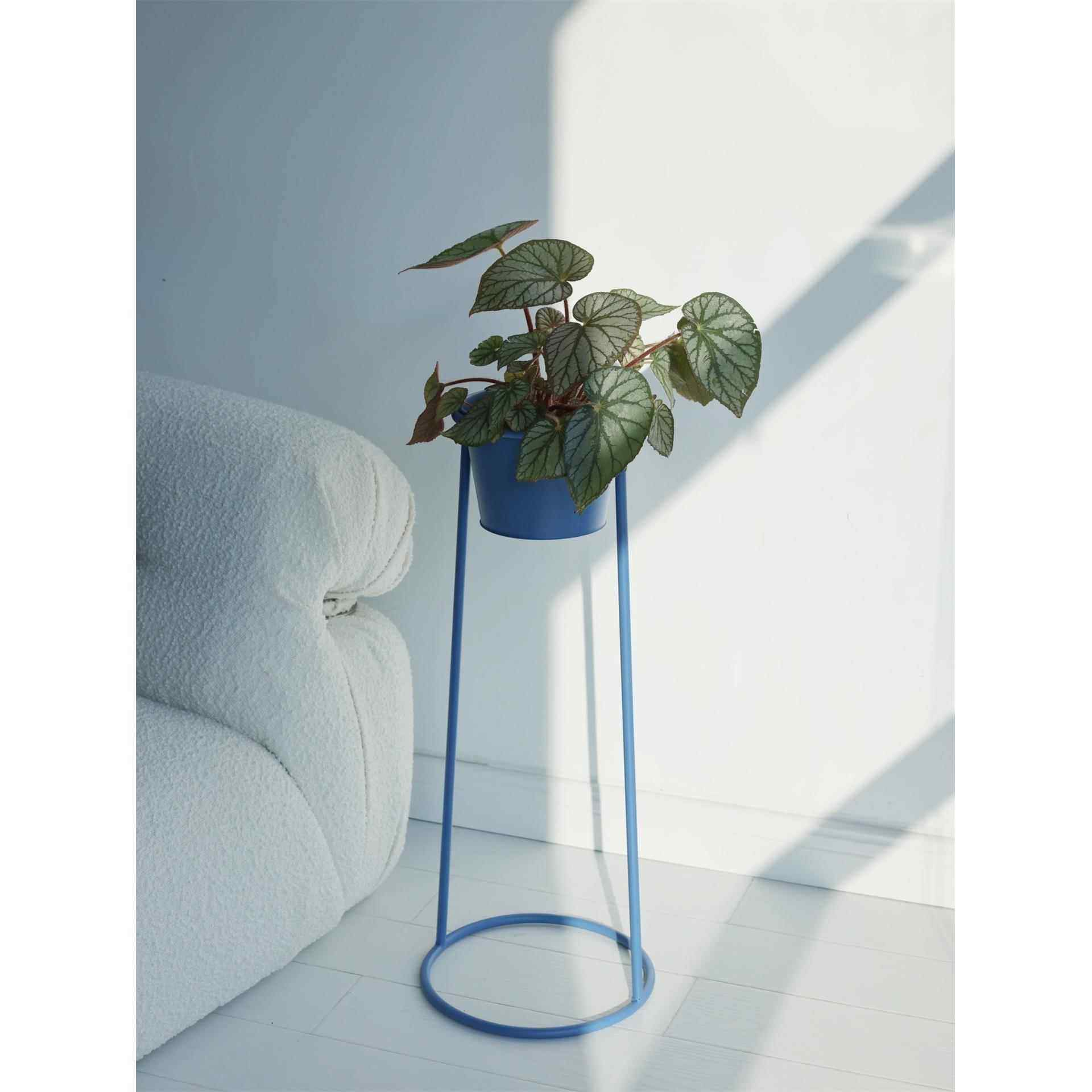 R*嘻物所普鲁士约蓝色花架台室内极简设计阳厅花MAZ盆客现代铁可