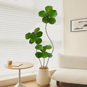 客厅高端轻奢彷真绿色植物盆栽高级彷生植物琴叶榕室内电视柜落地