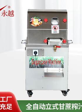 全自动立式甘蔗榨汁机商用压榨高效果汁机小型不锈钢现榨蔗汁机