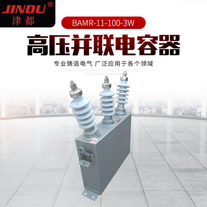 津都 高压并联电容器BAMR-11-100-3W 户外电容器 补偿电容器