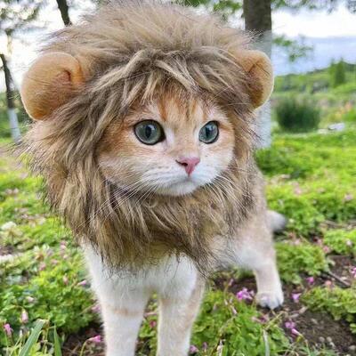 Cat Cosplay Dress Up Pet Hat Lion Mane for Cat Puppy Lion Wi