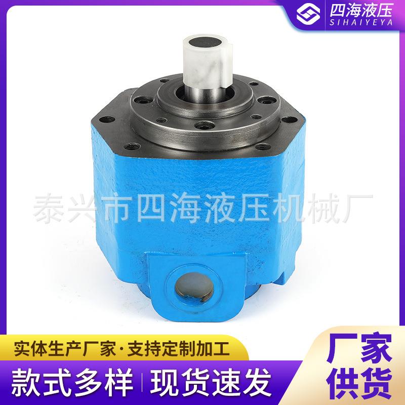 BB-B系列B摆线油泵厂内泄漏B-B40摆线磨床齿轮油泵B家B0-B25N6971