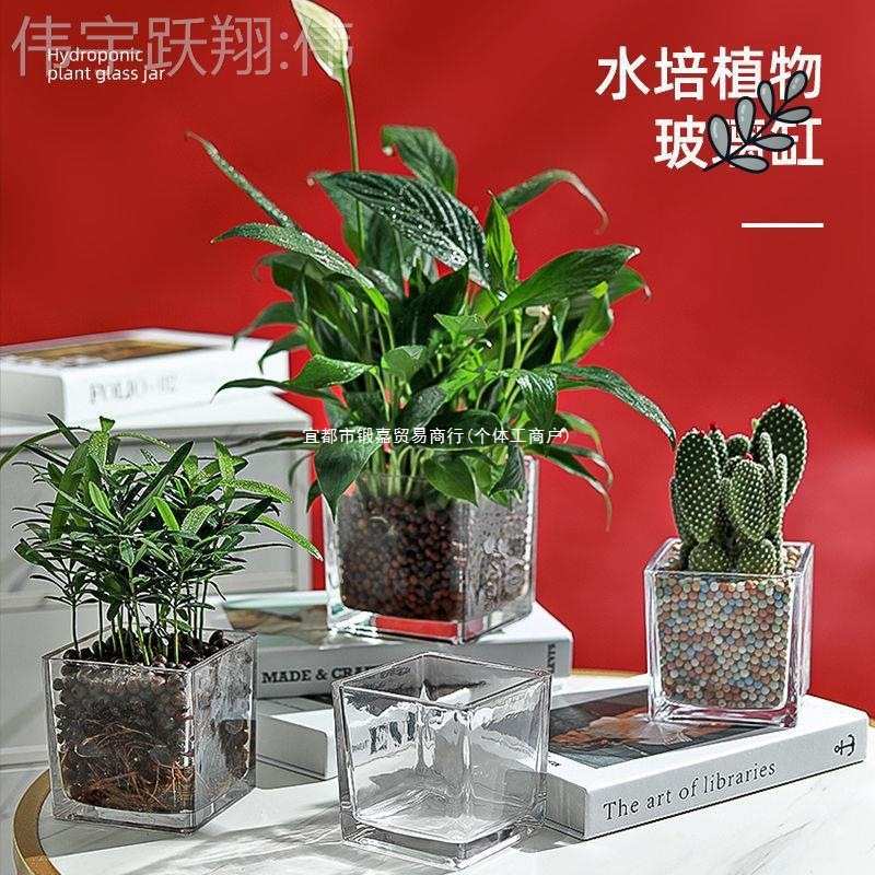 简约水培花盆正方形玻璃花瓶透明绿萝水养植物器皿乌龟缸摆件插花