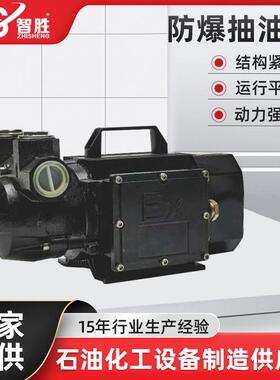 不锈钢手提式便携电动直流防爆抽油泵220V750W工业汽油柴油抽油泵