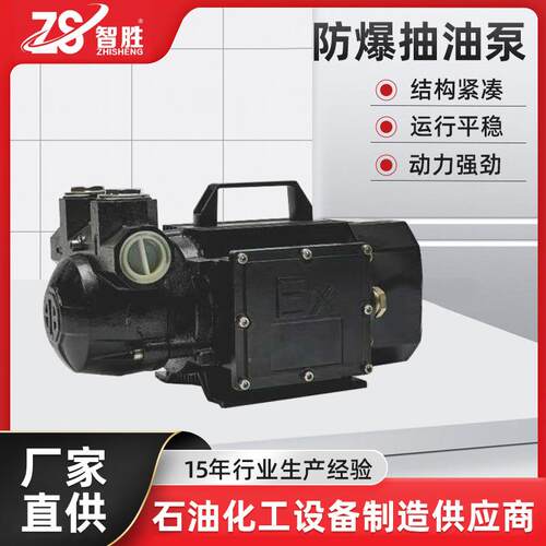 不锈钢手提式便携电动直流防爆抽油泵220V750W工业汽油柴油抽油泵