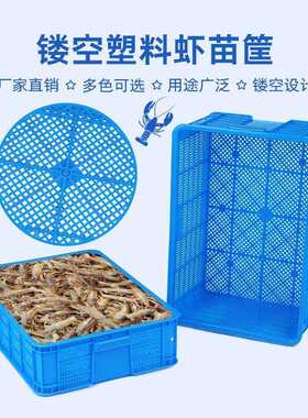 周转塑料筐长方形镂空龙虾虾苗活虾运输筐甲鱼蔬菜水果筐子密眼