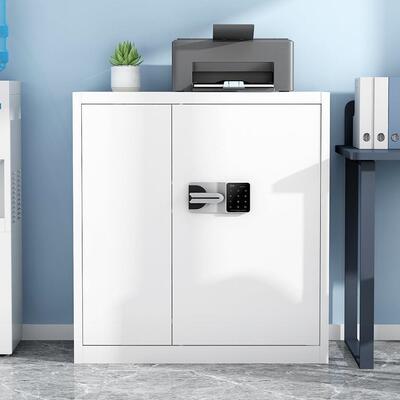 钢制办公室电子指纹保密柜保险柜储物柜国保密码锁资料文件档案柜