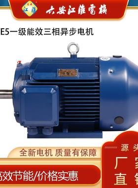 南阳防爆电机一级能效WE5-180L-615KW6极电机卧龙电气驱动集团