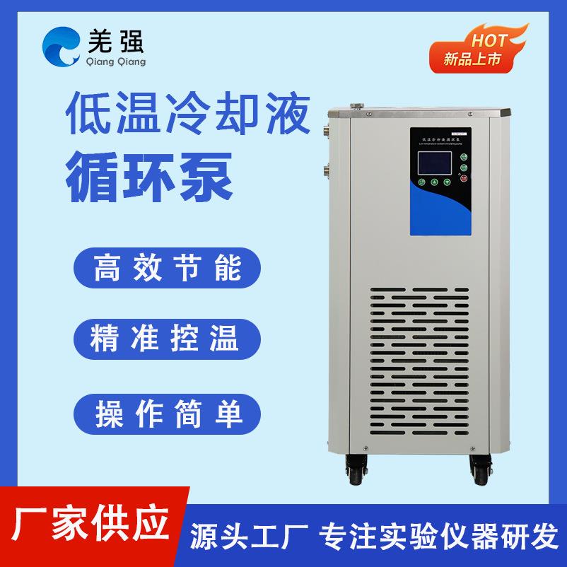 低温冷却液循环泵DLSB型实验室低温冷水机泵低温冷却液循环装置