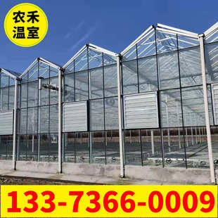 玻璃温室大棚 生态餐厅荷兰式连栋阳光板喷塑科研观光种植大棚