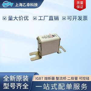 巴斯曼熔断器 170M4926 170M4927 170M4928 170M4929 170M4930