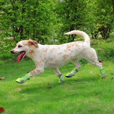 Dog Shoes Adjustable Snap Closure Green Fabric Anti Slip
