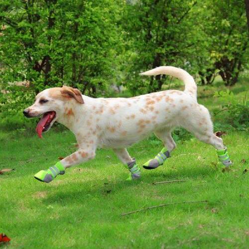 Dog Shoes Adjustable Snap Closure Green Fabric Anti Slip