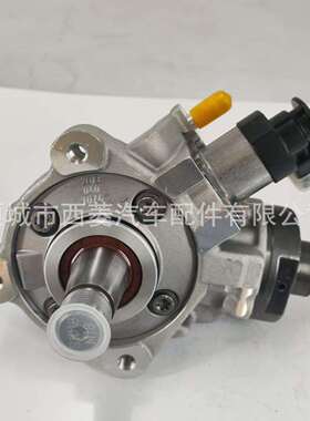 0445020507 0445020518 04123891 4123891 CR CP4 高压燃油喷射泵