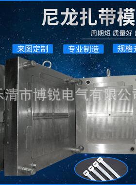 厂家直销模具供应3X100120条尼龙扎带模具（现货）扎带模具模具