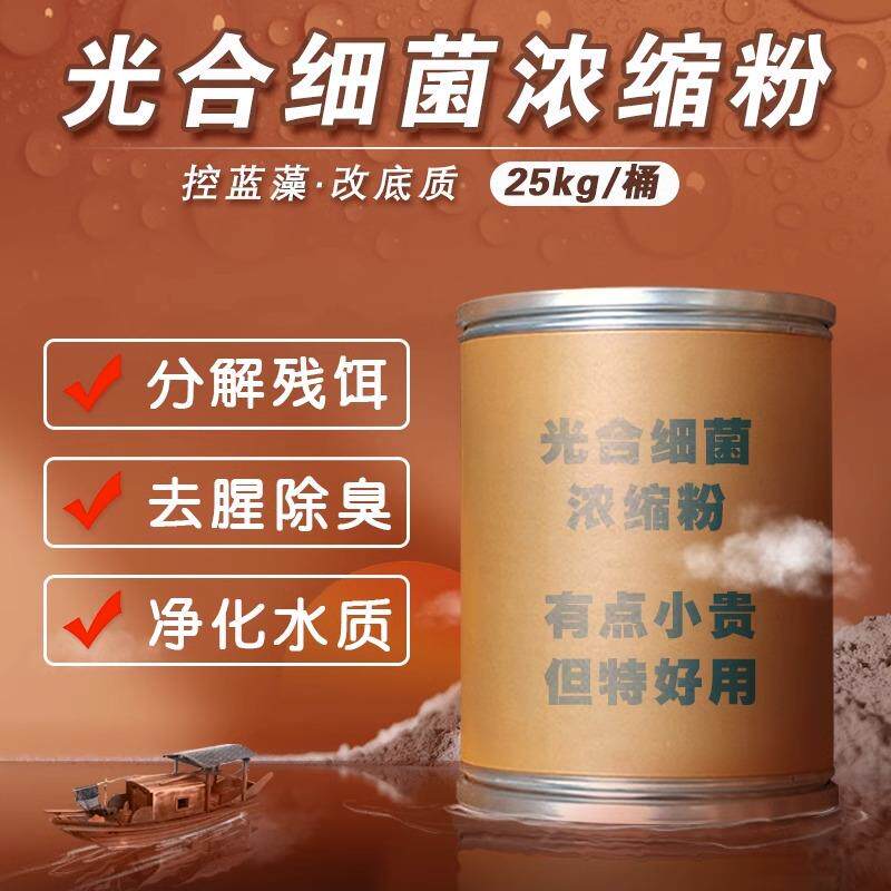 光合细菌菌种水产养殖调水净水分解残饵鱼虾蟹塘光合细菌高浓缩粉