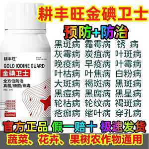 耕丰旺金碘卫士杀菌剂专用药典真细菌通用小麦油菜大蒜锈疫病