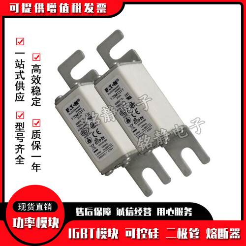 170M1750 170M1751 170M1752 170M1753 170M1754巴斯曼熔断器