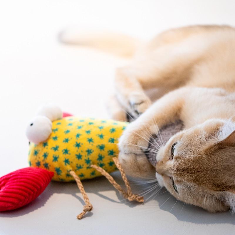 GiGwi贵为猫玩具DIY逗猫棒仿真大眼鱼龙虾螃蟹响纸猫咪磨牙玩具
