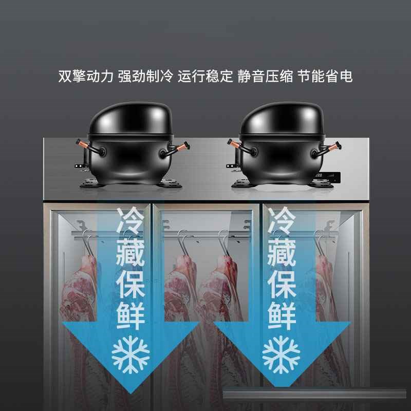 肉冷立式柜保鲜新款柜鲜肉挂柜柜冷藏柜熟排酸商用展示鲜肉成冷冻