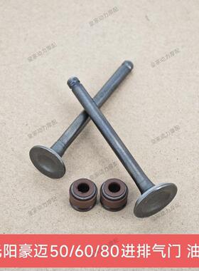 适用光阳豪迈GY6 50 60 80摩托车发动机气门48cc助力车进气门油封
