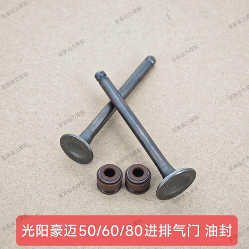 适用光阳豪迈GY6 50 60 80摩托车发动机气门48cc助力车进气门油封