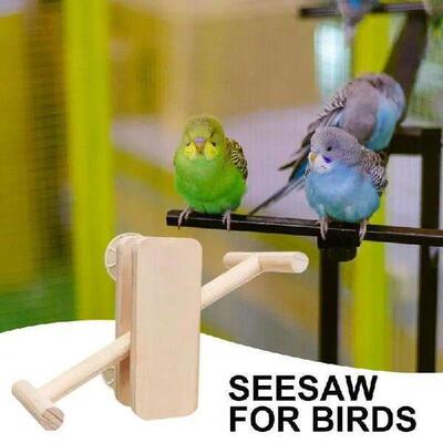 Bird Stands For Parrots Interactive Wooden Parakeet Cage
