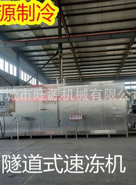 黄金地瓜速冻机 317隧动道速冻薯条全冻机 自速冻紫薯条条设备
