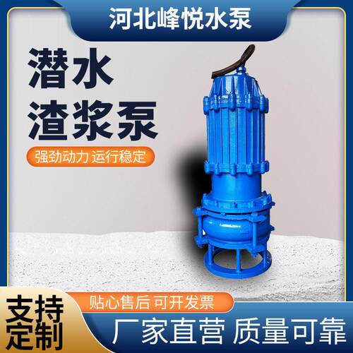 厂家定制ZJQ潜水渣浆泵 100ZJQ119-4-30河底清淤无堵塞立式泥浆泵
