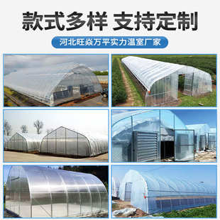 单体拱棚简易温室椭圆管大棚农业养殖棚日光温室花卉育苗种植暖棚