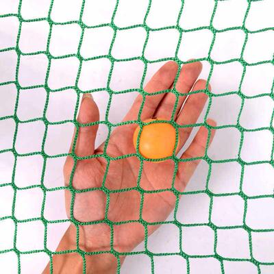 乒乓球场地围网围挡网训练网拦球网围栏防护网挡球网无结网绿色