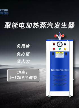 聚能锅炉12KW双管节能电加热蒸汽发生器蒸汽洗车专用电热蒸汽机