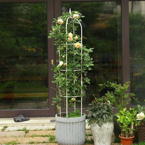 花架爬梅藤架户外铁架MGHJ子月季撑杆藤架花阳盆艺台三角盆植物花