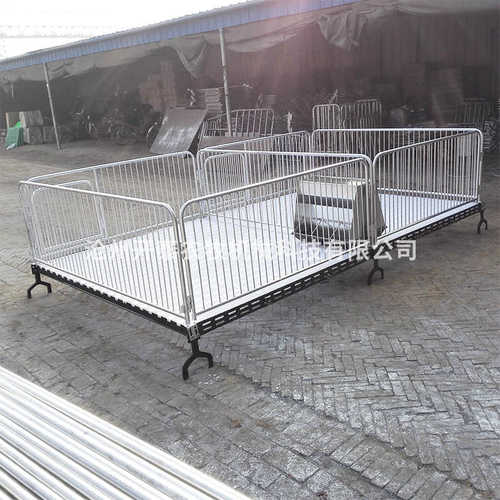 母猪保育床养殖场养猪设备现货仔猪保育床加厚镀锌钢管母猪保育床